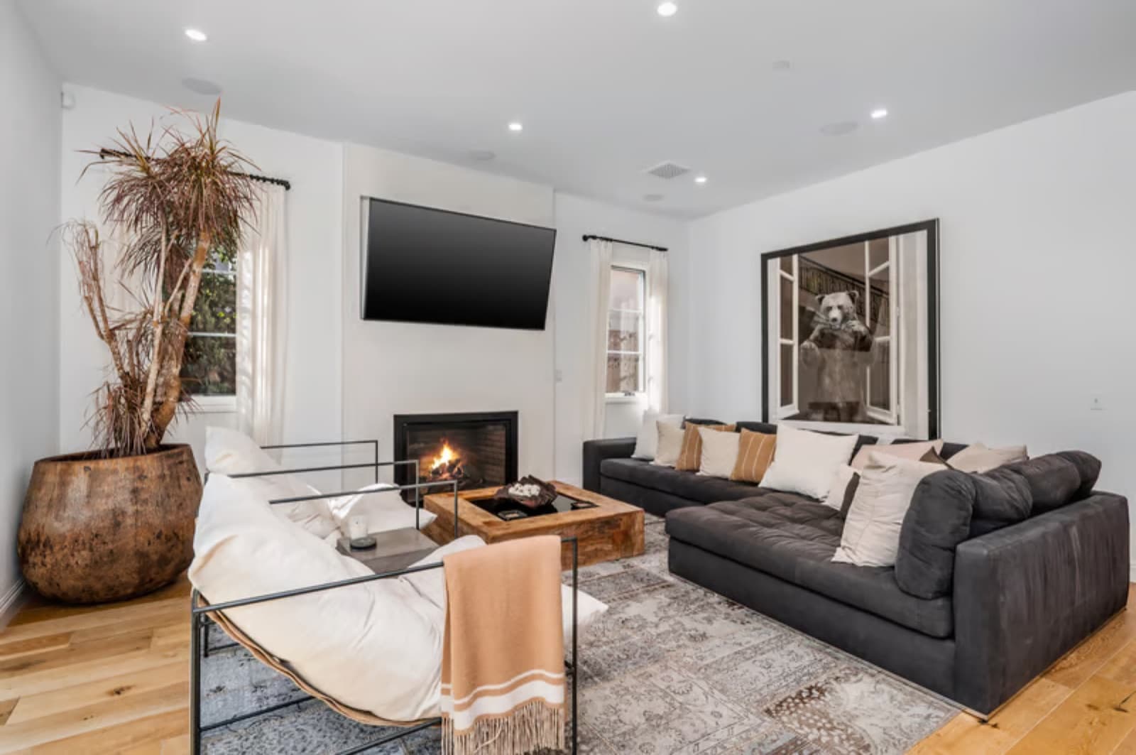A freshly cleaned, comfortable living room
